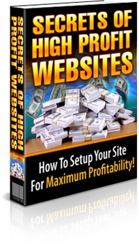 The Secrets to High Profit Websites